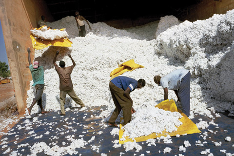 Workers at a cotton mill in Mali