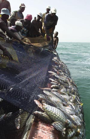 Africans know how to fish, says African Development Bank President Donald Kaberuka