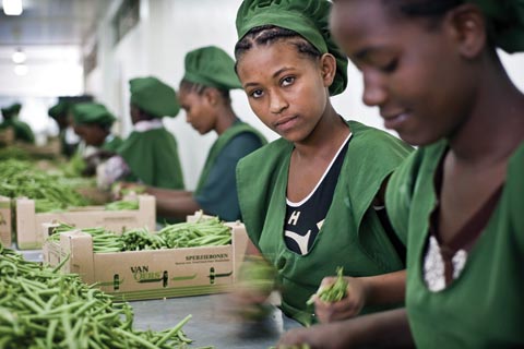 Bean packing enterprise in Ethiopia