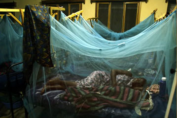 Insecticide-treated bed nets