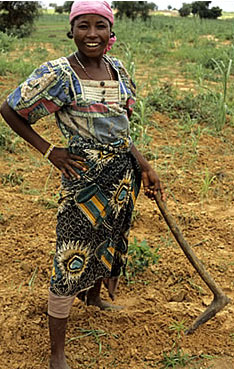 Farmer in Niger