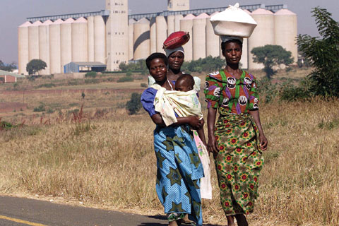 Grain silos in Malawi