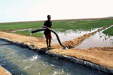 Irrigation canal in Eritrea