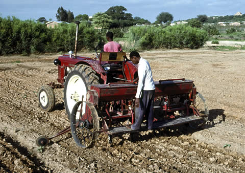 Mechanized agriculture in Tanzania