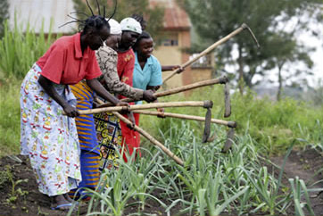 A women’s farming cooperative in the Democratic Republic of the Congo
