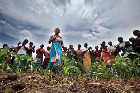 Maize field in Malawi: Women account for 70 per cent of Africa’s food production, but often do not have secure access to land.