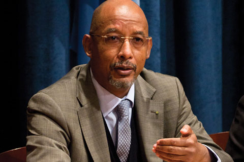 Ibrahim Assane Mayaki, CEO of the NEPAD Planning and Coordinating Agency