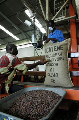 Exporting cocoa from Côte d’Ivoire