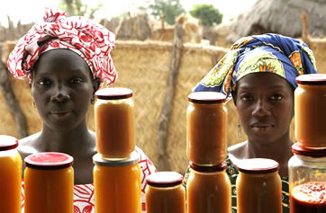Rural women in Senegal sell processed mangos and yams