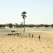 The Sahel has been battered by drought due to climate change.  