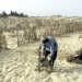 A farmer in the drought-affected area of Senegal watering plants. Photo: UN Photo/Carl Purcell