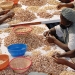 Cashew nut processing and production factory in Sotria B Sarl, Banfora, Burkina Faso.   Alamy/Joerg Boethling 