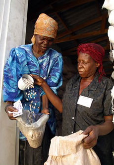 Collecting food rations from a UN warehouse in Zimbabwe