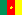 Flag of Cameroon