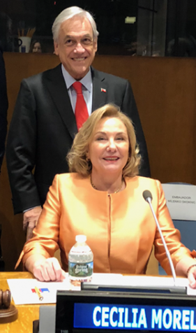 Alliance for a Positive and Healthy Ageing and the Achievement of Sustainable Development Goals