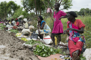 Call for submissions International Day of Cooperatives Photo Exhibition ‘Cooperatives: The power to act for a sustainable future’