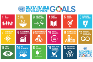 Visual identity of the SDGs that shows each individual goal in colour boxes