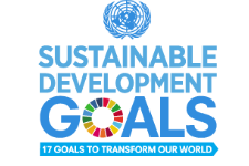 Billedresultat for sustainable development goals