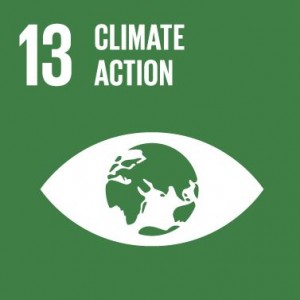 SDG - Goal 13
