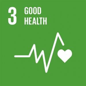 SDG3