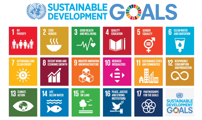 Sustainable Development Goals (SDGs) | United Nations 