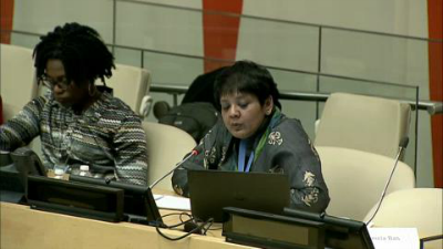 2015 Civil Society Forum - Commission for Social Development