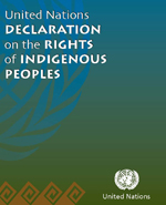 United Nations Declaration on the Rights  of Indigenous  PeopleS United Nations  Declaration on the Rights  of Indigenous People