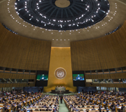 1st Plenary Meeting of the General Assembly 69th session