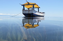 Fisherman boat on Atauro Island and seaweeds growing near the shores for business for local fishemen. Photo by UNMIT Martine Perret 14 November 2010