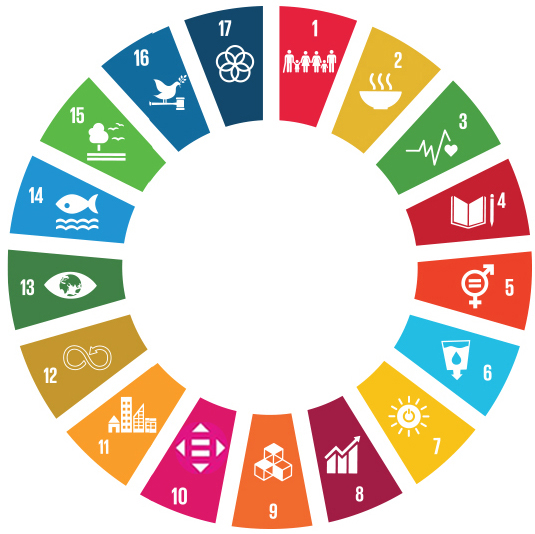UN DESA United Nations Department of Economic and Social Affairs