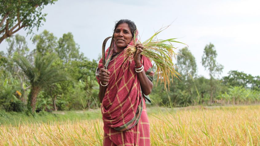 Farmer lady in India