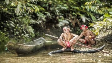 Indonesia indigenous