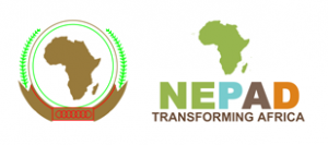 The New Partnership for Africa's Development (NEPAD), an African Union strategic framework for pan-African socio-economic development