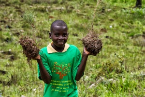 A Haitian youth participates in the tree planting