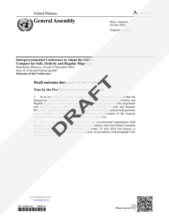 thumbnail of the Outcome Document