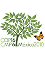 COP16 CMP6