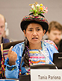 Photo: Broddi Sigurdarson, Secretariat of the Permanent Forum on Indigenous Issues/DESA