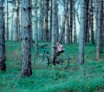 Photo: Olga Lavrushko, Ukraine, one of the winners of the first ever UN Forum on Forest Photo Contest