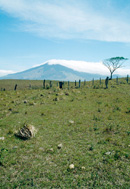 UN Photo/Milton Grant: Energy-Sources of Power: Geothermal Energy