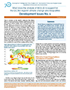 Development Issues No. 6: What does the analysis of WESS 2016 suggest for 
the ESCWA region? climate change and inequalities