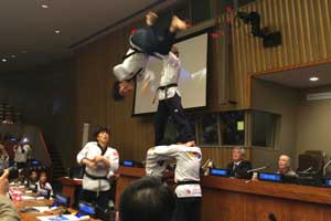 Taekwondo demonstration at the International Day of Peace Student Videoconference. Photo: UN DPI/Kimberly Mann