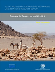 Renewable Resources and Conflict PDF Cover