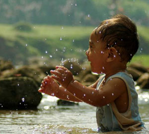 http://www.un.org/es/events/biodiversityday/images/ibd2013.jpg