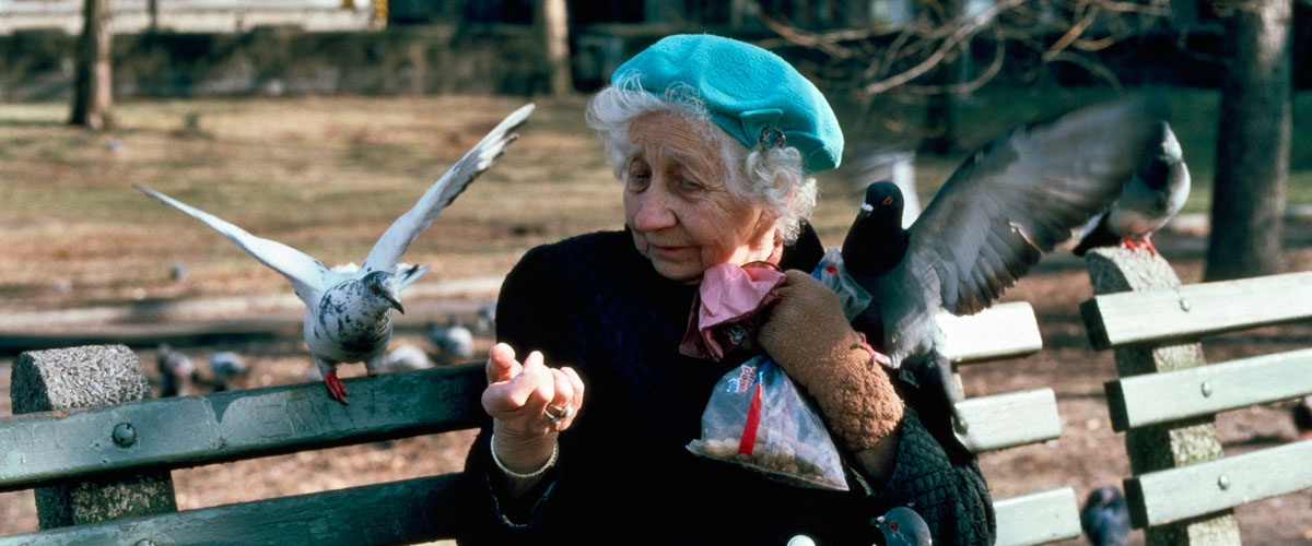 Una persona anciana alimenta a las palomas en el Parque Central de Nueva York. Foto ONU/Gaston Guarda.