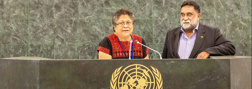 En el 13° período de sesiones del Foro Permanente para las Cuestiones Indígenas.Foto: Broddi Sigurdarson, Naciones Unidas