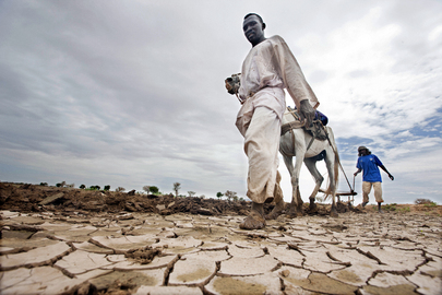 Personas caminan sobre tierras secas