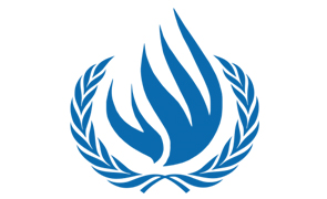 Icono de la llama de la ONU