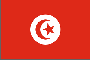 Tunisia flag