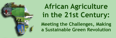 African Agriculture in the 21st Century: Meeting the Challenges, Making a Sustainable Green Revolution
