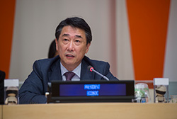 ECOSOC President urges stronger cooperation to thwart tax evasion and avoidance - 11 November 2015